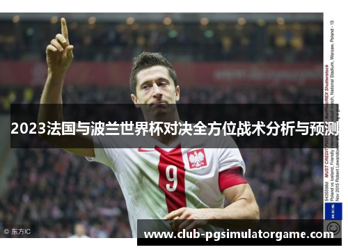 2023法国与波兰世界杯对决全方位战术分析与预测