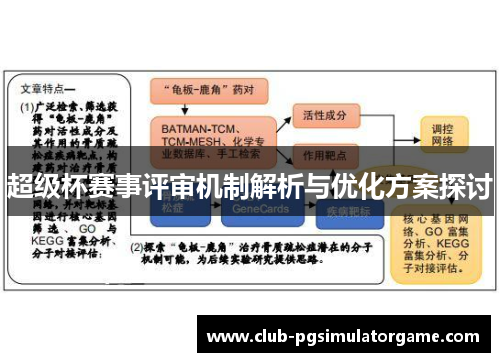 超级杯赛事评审机制解析与优化方案探讨